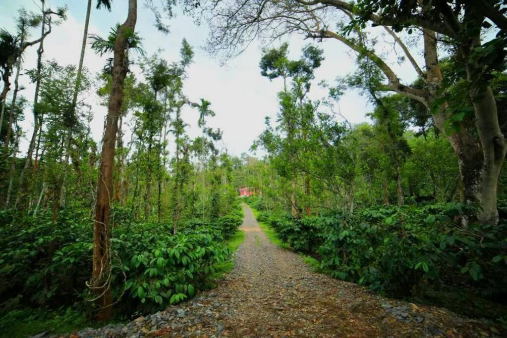 Entire Villa At The Heart Of The Wayanad Forest. Kutta ภายนอก รูปภาพ