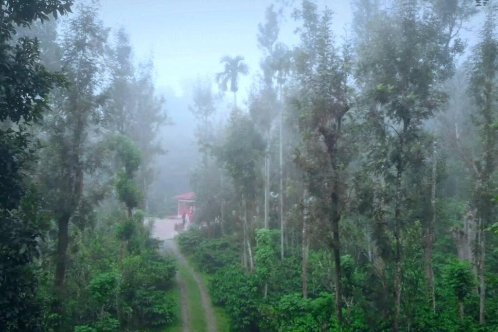 Entire Villa At The Heart Of The Wayanad Forest. Kutta ภายนอก รูปภาพ