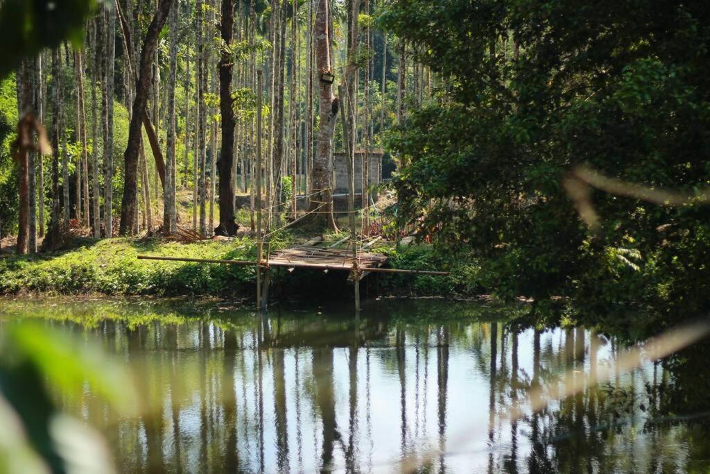 Entire Villa At The Heart Of The Wayanad Forest. Kutta ภายนอก รูปภาพ